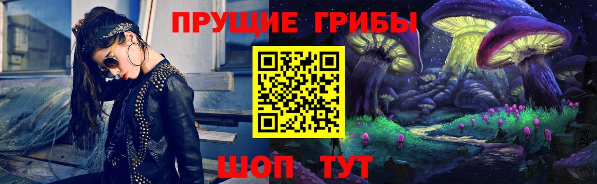 Псилоцибиновые грибы Cubensis Борзя