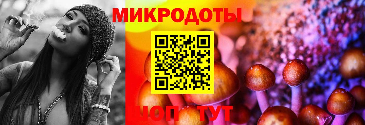 Псилоцибиновые грибы GOLDEN TEACHER  Вход с VPN  Борзя 